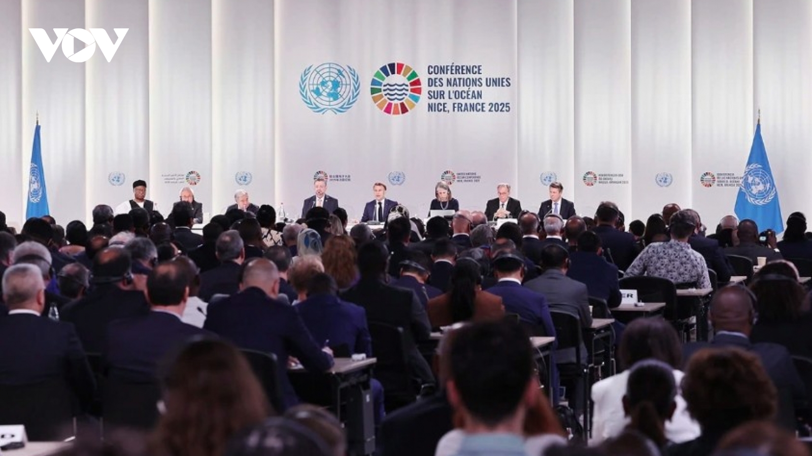 Vietnam joins special treaty event on biodiversity beyond national jurisdiction